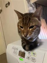 ヤラれました（ーー；）