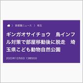 ギンガオサイチョウ(ΦωΦ)