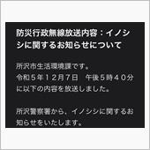 ところざわちほ〜。