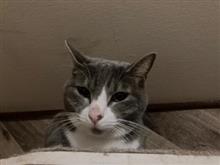 赤で専用って・・・・