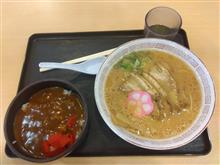 狂人のSA備忘録180 阪和道・ 紀の川　上り