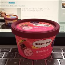 Haagen-dazs 苺のトリュフ