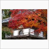 2023 晩秋の彩り（本編） ...
