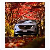 もう紅葉も終わり
