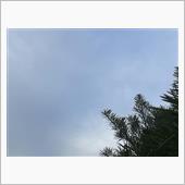 曇り☁️