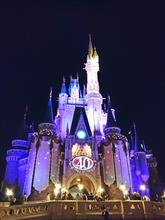 ディズニーランドで乗ったもの ディズニーランドで乗ったもの