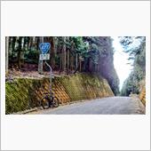 久々の前ヶ畑峠