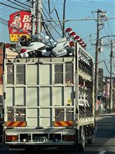 天敵発見！！１台でも嫌なのに、こんなにたくさんとは(-_-;)