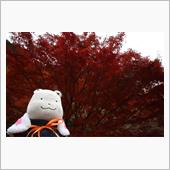 特に目的地なし！