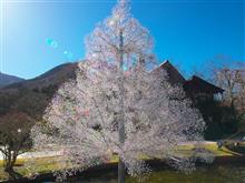 箱根ガラスの森美術館