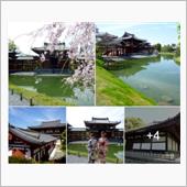 世界遺産 『平等院』 国宝  ...