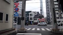 クマさんが昇るタイミングはいつもここから見上げて判断してるが？