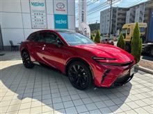 乗ってみました