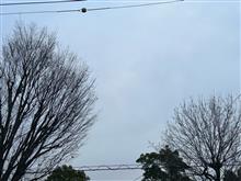 そーだ！鈴鹿へ行こう！