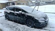 大雪警報？！
