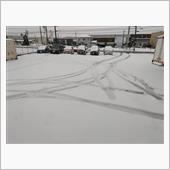 ちょっと積もった
