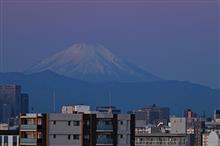 今朝の富士山