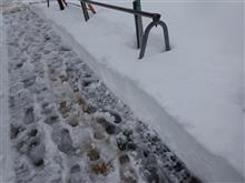 雪は