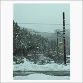 雪を見てきたよ