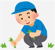 暖かい時間を狙って草むしり