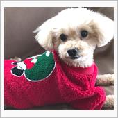 クリスマスイブのちょっと嬉し ...