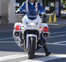 2023年後半 遠征訪問まとめ