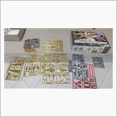 金メッキに興奮！