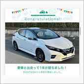 リーフオーテック納車から一年