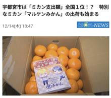 みかん、みかん、みかん