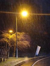 そら雪くらい降るな・・・　（σ‐￣）ﾎｼﾞﾎｼﾞ