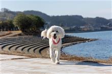 徳島鳴門から淡路島へ(*^^*)