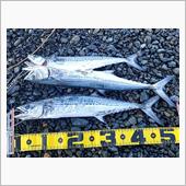 釣り納め