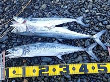 釣り納め