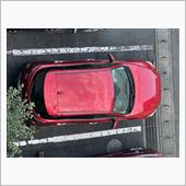 年末　洗車