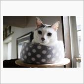 いよいよ大晦日。