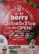 毎年恒例のいちご狩りへ・・・ 毎年恒例のいちご狩りへ・・・