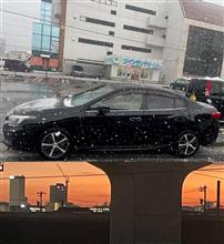 今年も一年お世話になりました/2023