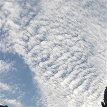 年末から大みそかへ そして年始です 年末から大みそかへ そして年始です