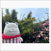 寝坊しました