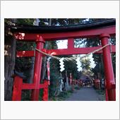 ４年目の「脱炭素」の正月