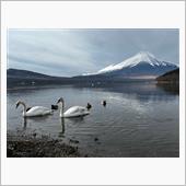 2024年　初富士山撮り