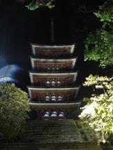 数年ぶりで除夜の鐘撞き出来ました【出掛け】 数年ぶりで除夜の鐘撞き出来ました【出掛け】