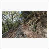 常山城の鶴姫