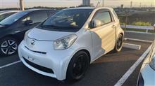 IQはカスタムして味が出る車ですね✨