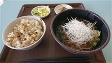 ’23-’24 年越し緑化旅 ⑦ 山梨県 ’23-’24 年越し緑化旅 ⑦ 山梨県