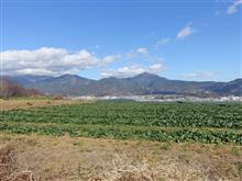 徒歩記録）早春の七福神めぐりで・・・・♪