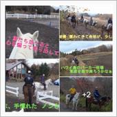 富士山麓鳴沢村で乗馬体験 � ...
