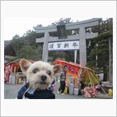 またまた初詣