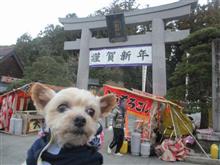 またまた初詣