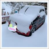 雪〜降った⛄️積もった